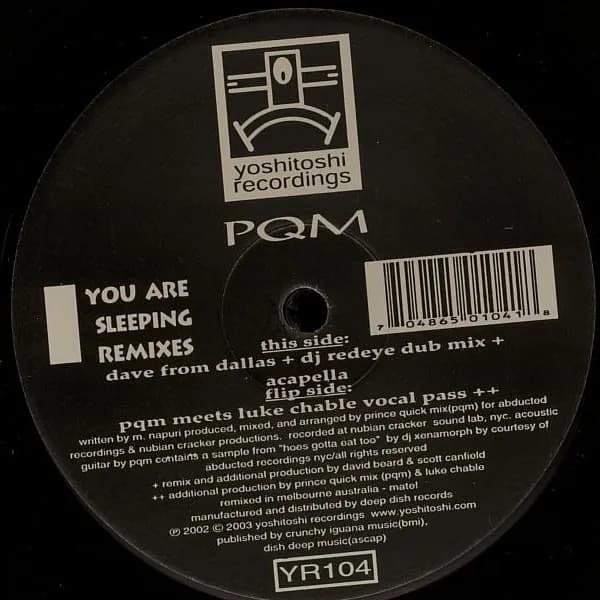 Prince Quick Mix — You Are Sleeping (Remixes)