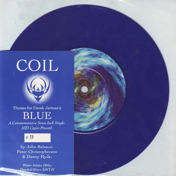 Themes For Derek Jarman's Blue