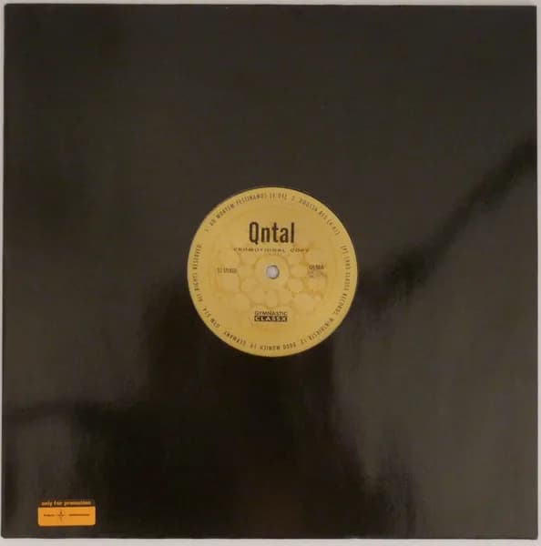 Promotional Copy