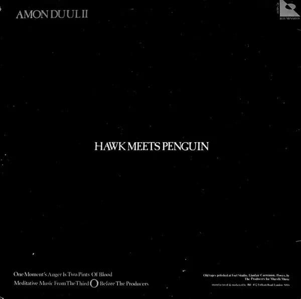 Amon Düül II (2) — Hawk Meets Penguin