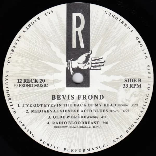 The Bevis Frond — Ear Song
