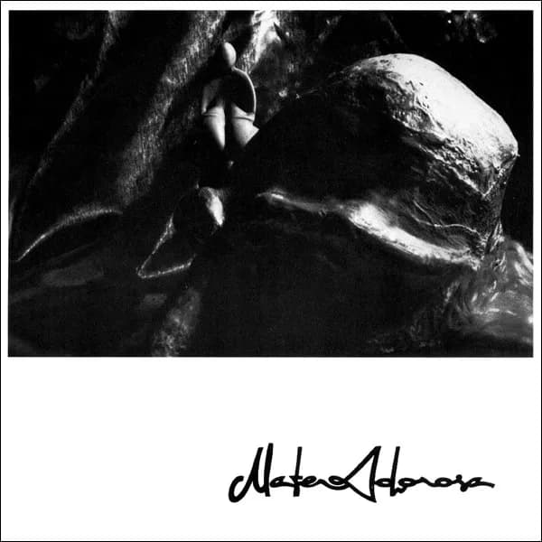 Kabuki / Rex In Aeternum Vivae