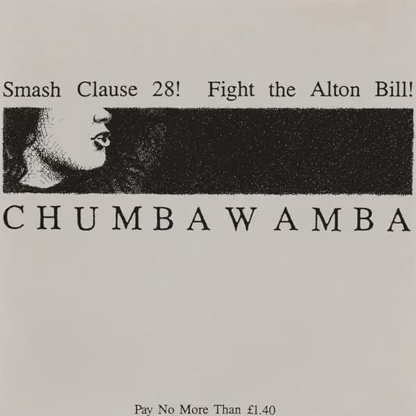 Smash Clause 28! / Fight The Alton Bill!