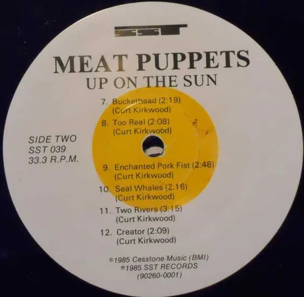 Meat Puppets — Up On The Sun