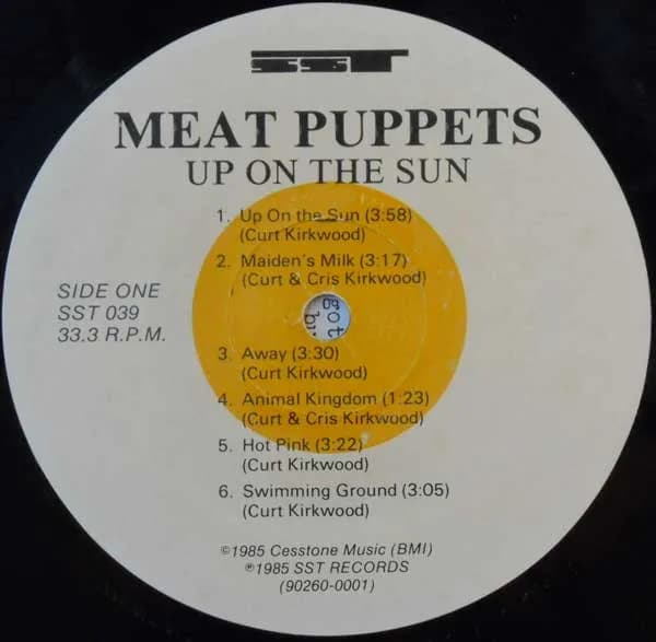 Meat Puppets — Up On The Sun