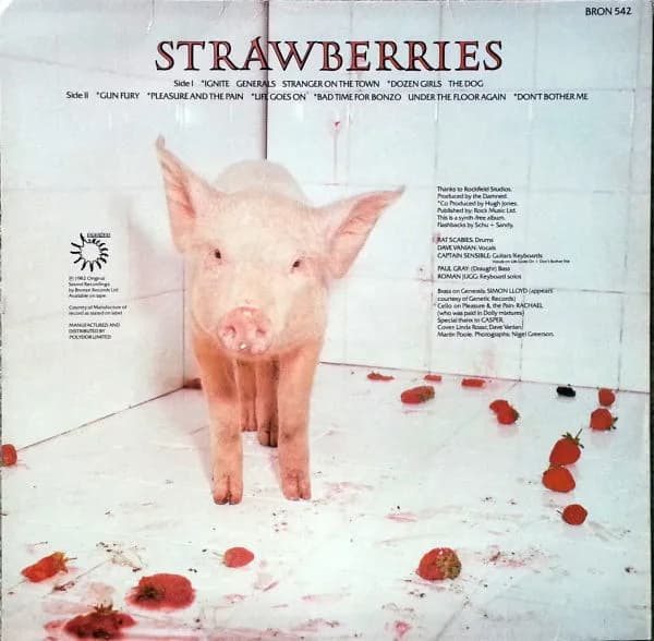 The Damned — Strawberries