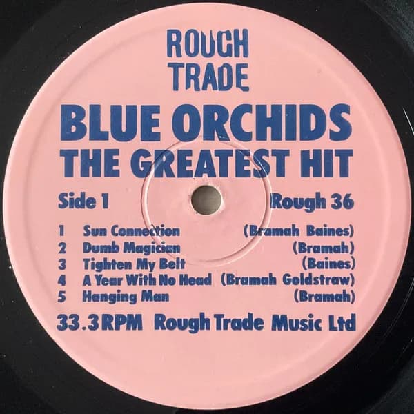 Blue Orchids — The Greatest Hit (Money Mountain)