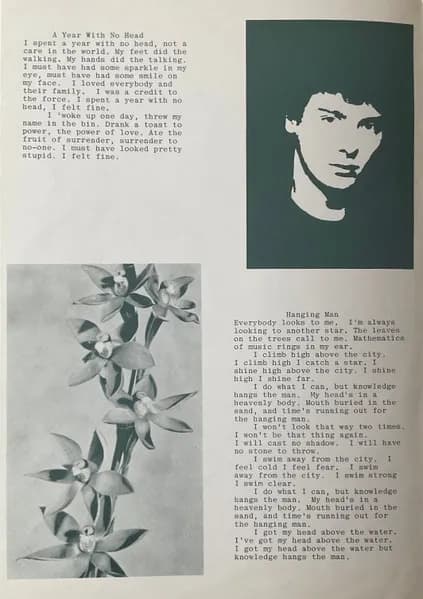 Blue Orchids — The Greatest Hit (Money Mountain)