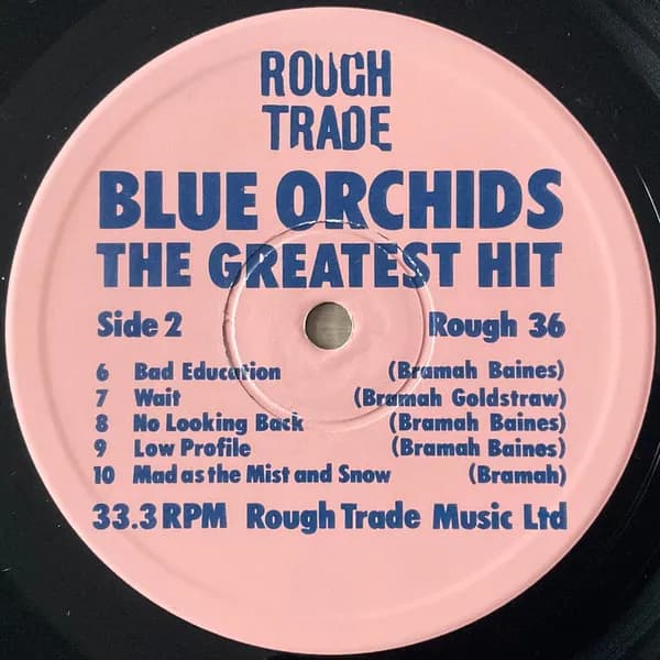 Blue Orchids — The Greatest Hit (Money Mountain)
