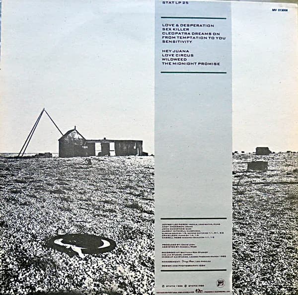 Jeffrey Lee Pierce — Wildweed