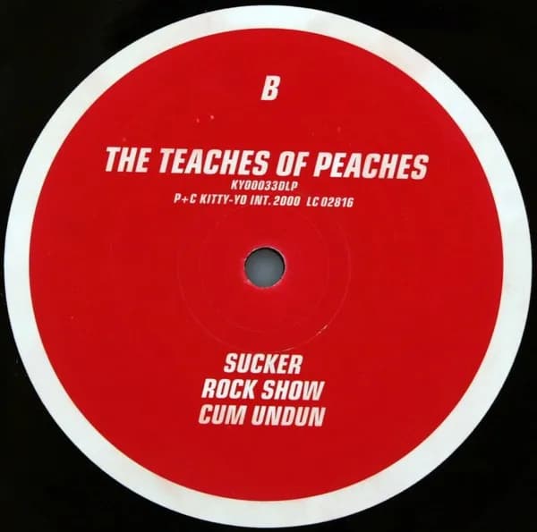 Peaches — The Teaches Of Peaches