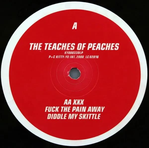Peaches — The Teaches Of Peaches