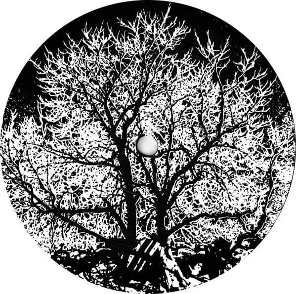 The Bevis Frond — New River Head