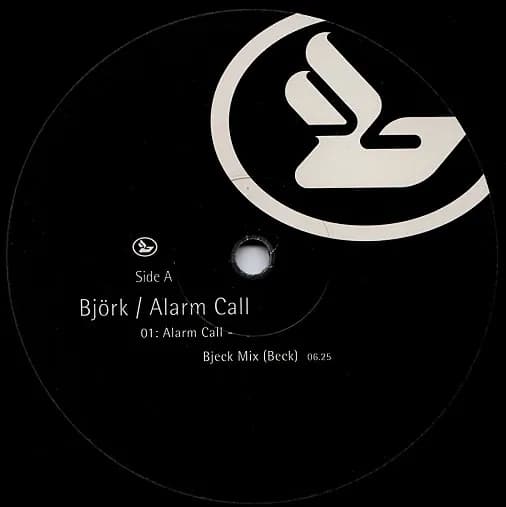 Björk — Alarm Call