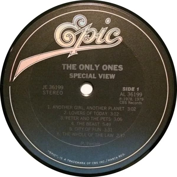 The Only Ones — Special View