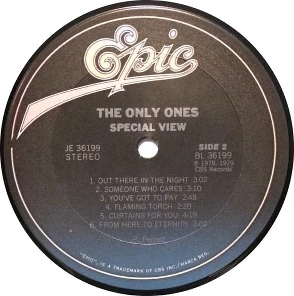 The Only Ones — Special View