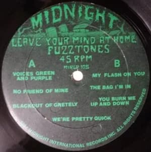 The Fuzztones — Leave Your Mind At Home