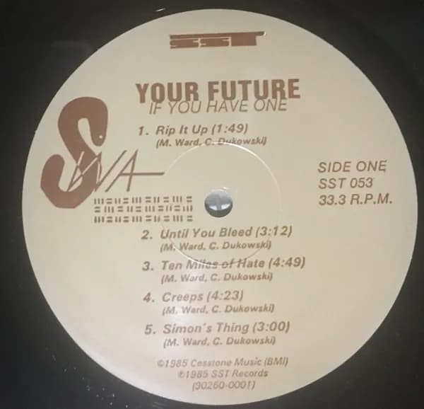 SWA — Your Future If You Have One