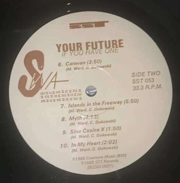 SWA — Your Future If You Have One