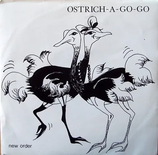 Ostrich-a-go-go