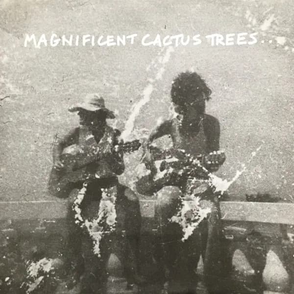 Magnificent Cactus Trees...