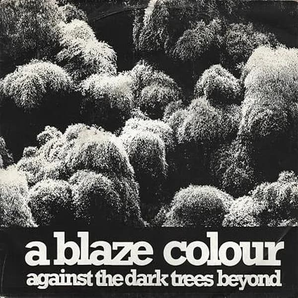 Against The Dark Trees Beyond