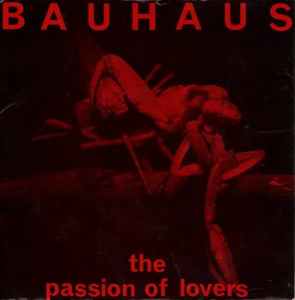 The Passion Of Lovers