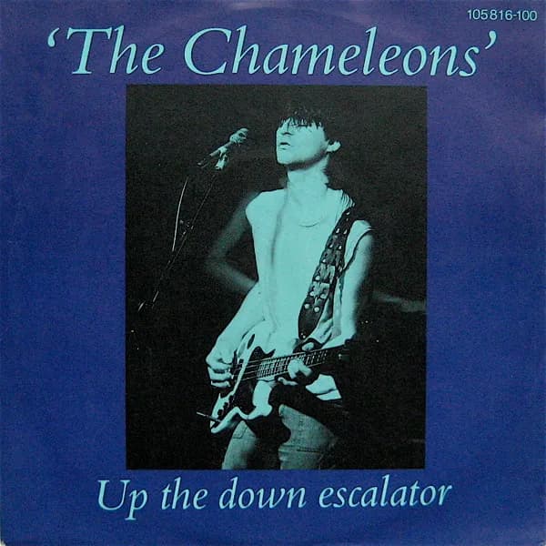 Up The Down Escalator
