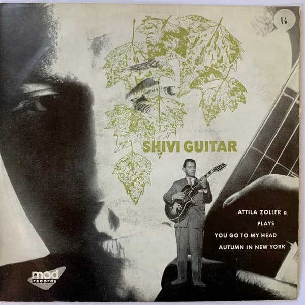 Shivi Guitar
