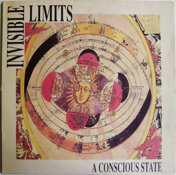 A Conscious State
