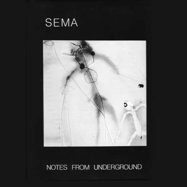 Notes From Underground