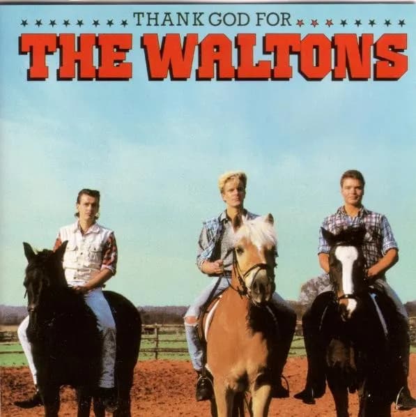 Thank God For The Waltons