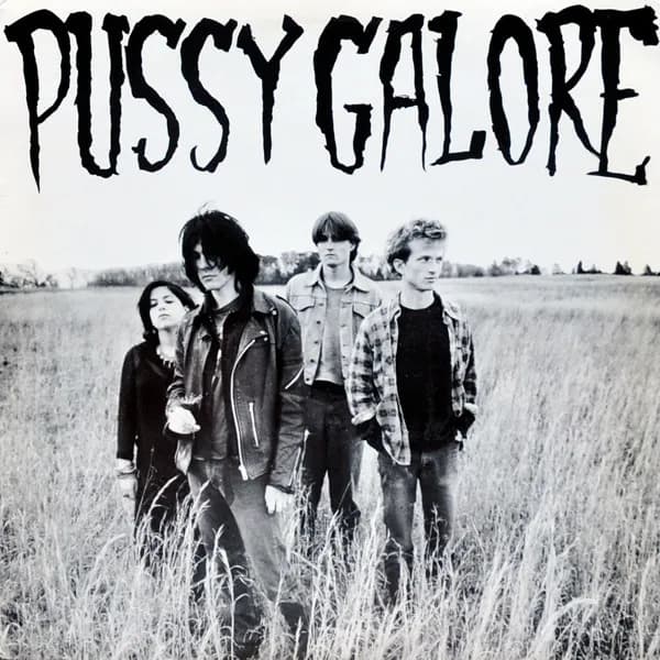 Groovy Hate Fuck