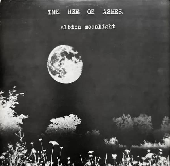 Albion Moonlight