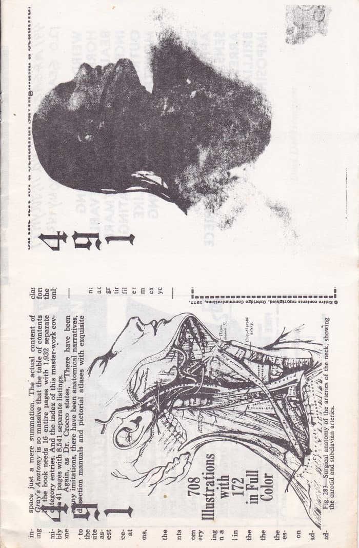 491 No.11