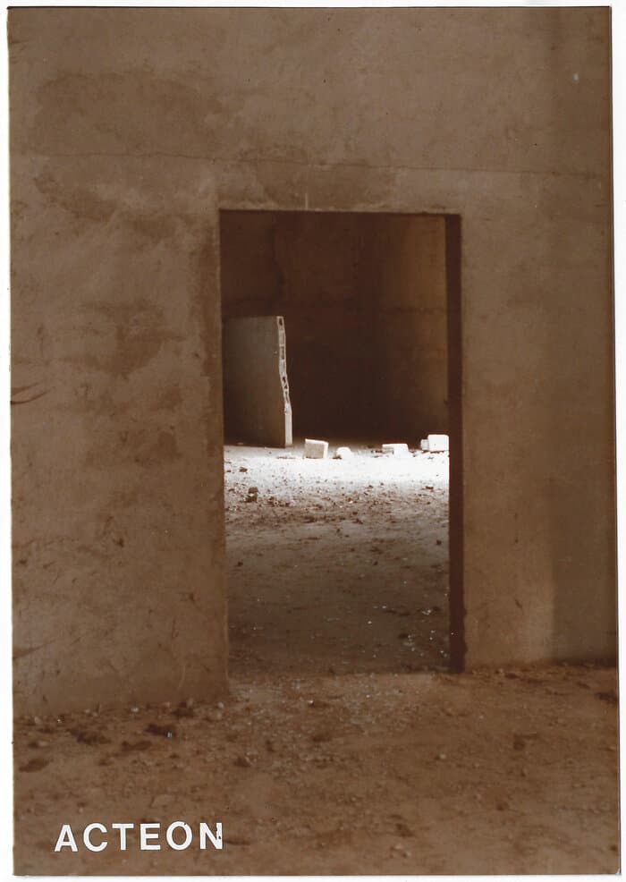 Analog Photographs