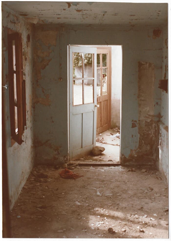 Analog Photographs