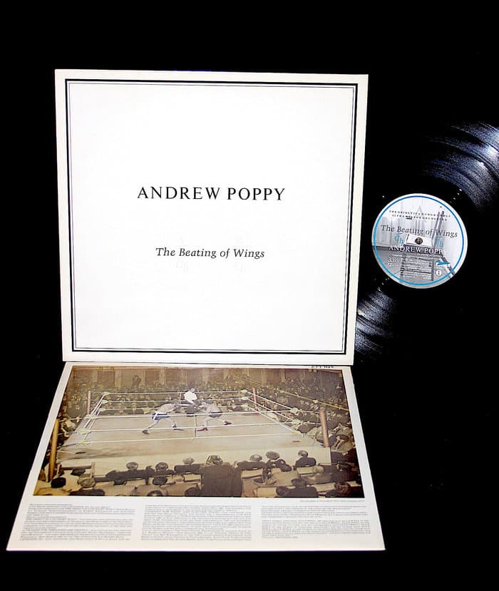 The Beating Of Wings Andrew Poppy