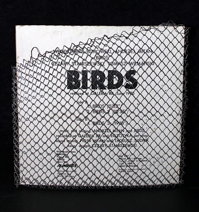 Ptaki / Birds