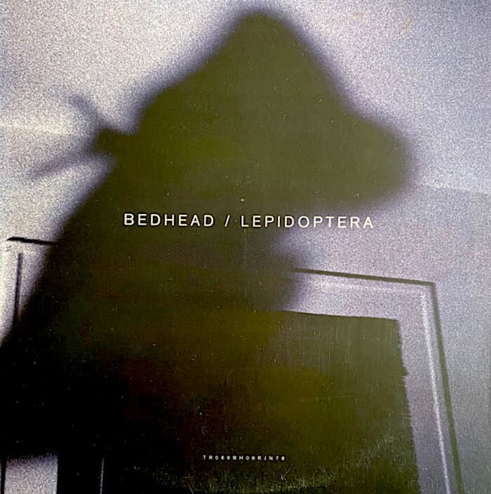Lepidoptera