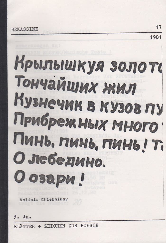 Bekassine 17