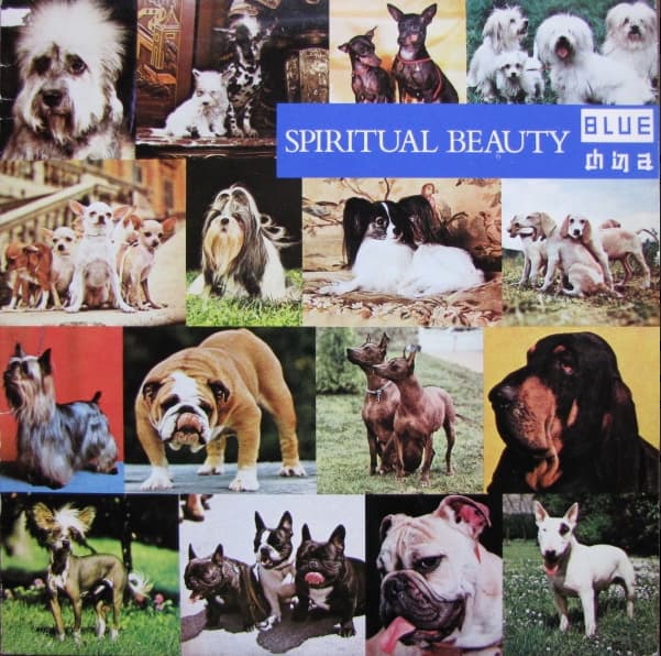 Spiritual Beauty