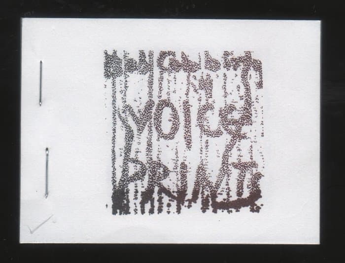 Voice Prints (Writers Forum)