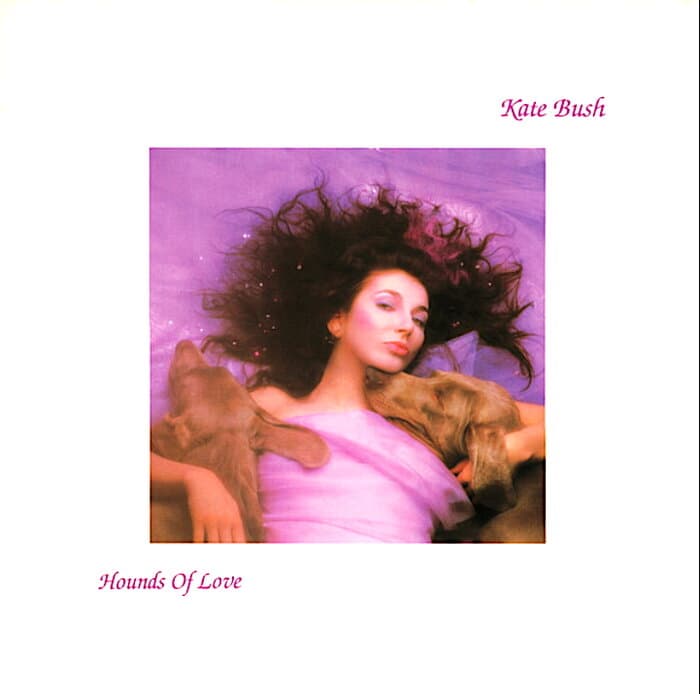 Hounds Of Love