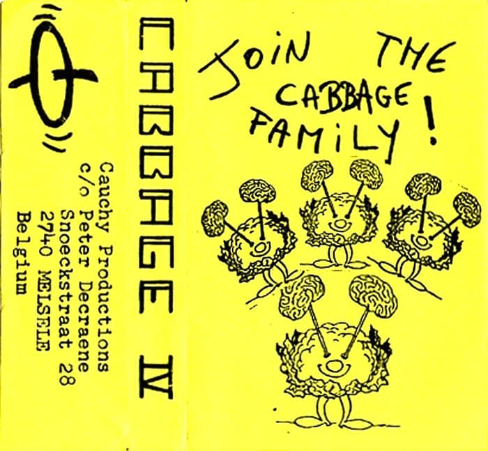 Cabbage 4  C90
