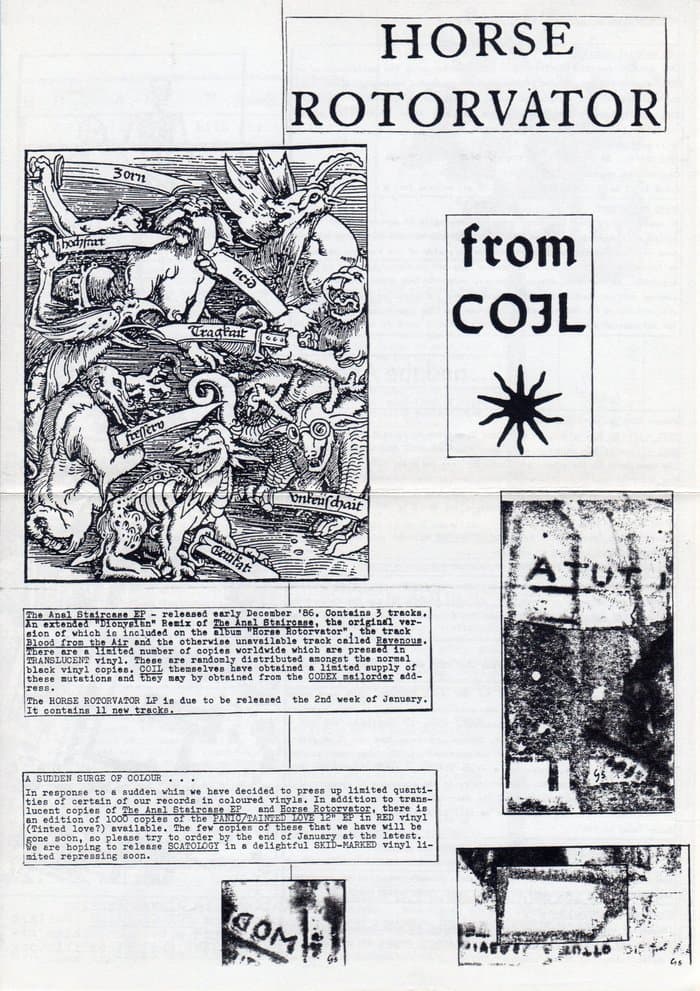 Coil in Rattlesnake 3
