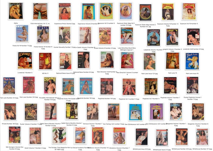 a selection of 80 Magazines containing Cosey as a Model