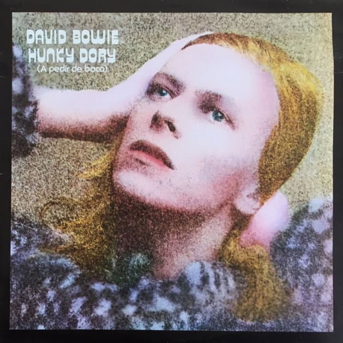 Hunky Dory