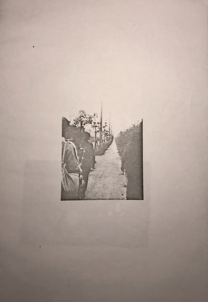 Cross Parallel