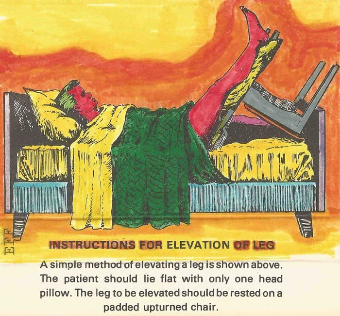 Elevation